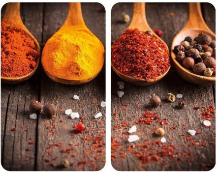 ΓΥΑΛΙΝΑ ΠΡΟΣΤΑΤΕΥΤΙΚΑ ΚΑΛΥΜΜΑΤΑ ΕΣΤΙΑΣ CURRY 2ΤΕΜ - Home Bathroome / Items