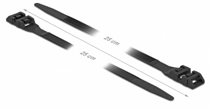 DELOCK Δεματικά καλωδίων 18889, 250x9mm, μαύρο, 10τμχ - Cables - Adapters