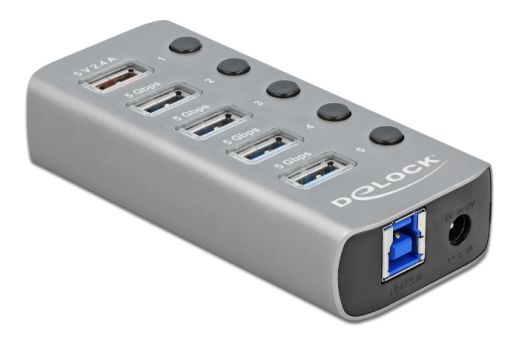 DELOCK USB hub με διακόπτες 63262, 5x USB, 5Gbps, 2.4A, γκρι - Περιφερειακά PC