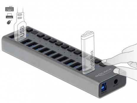 DELOCK USB hub με διακόπτες 63738, 13x USB, 5Gbps, LED, γκρι - Περιφερειακά PC