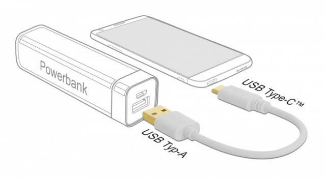 DELOCK καλώδιο USB σε USB Type-C 85355, 3A, 22AWG, 0.15m, λευκό - Καλώδια
