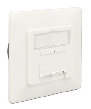 DELOCK Modular Wall Outlet Δικτύου, Cat.6A, 2x LSA, 2 Port - Electrical equipment