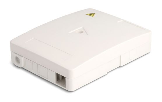 DELOCK κυτίο σύνδεσης οπτικών ινών 87138 τοίχου, 2x SC Simplex/LC Dublex - Electrical equipment