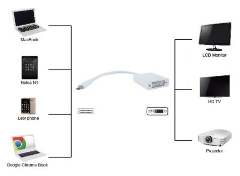 POWERTECH αντάπτορας USB Type-C σε DVI PTH-036, 4K, λευκό - Cables - Adapters